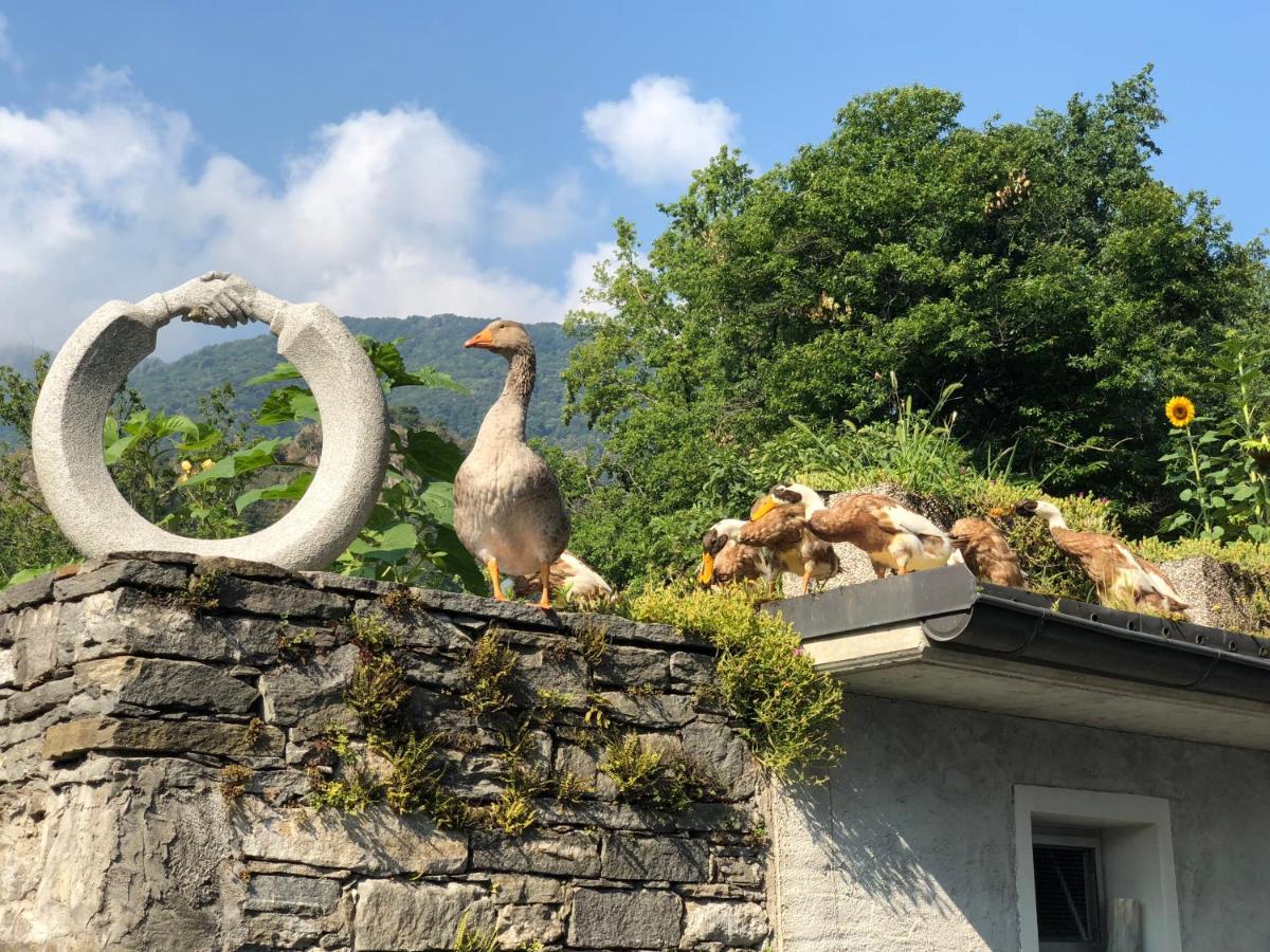 Ostello & Camping Riposo Losone Kültér fotó